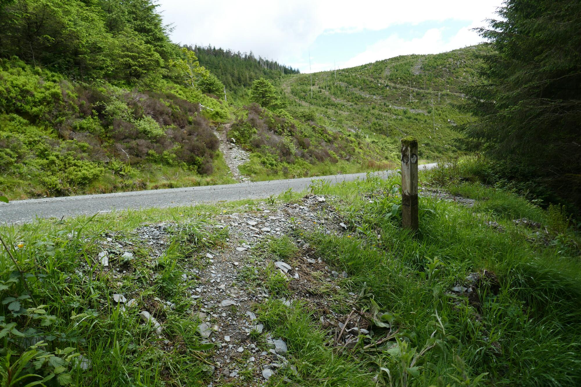 RachelSeabrook.net | Wild Walking | Devils-Bridge; pic53